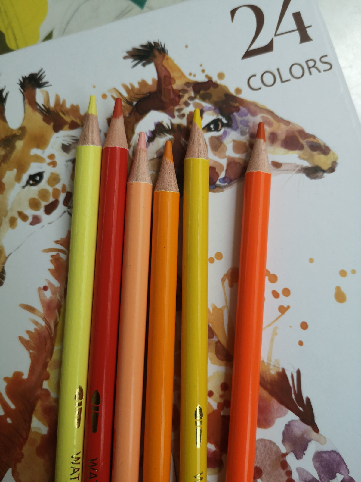 Boîte de 24 &amp; 36 crayons de couleur pour dessin et peinture - 2G France