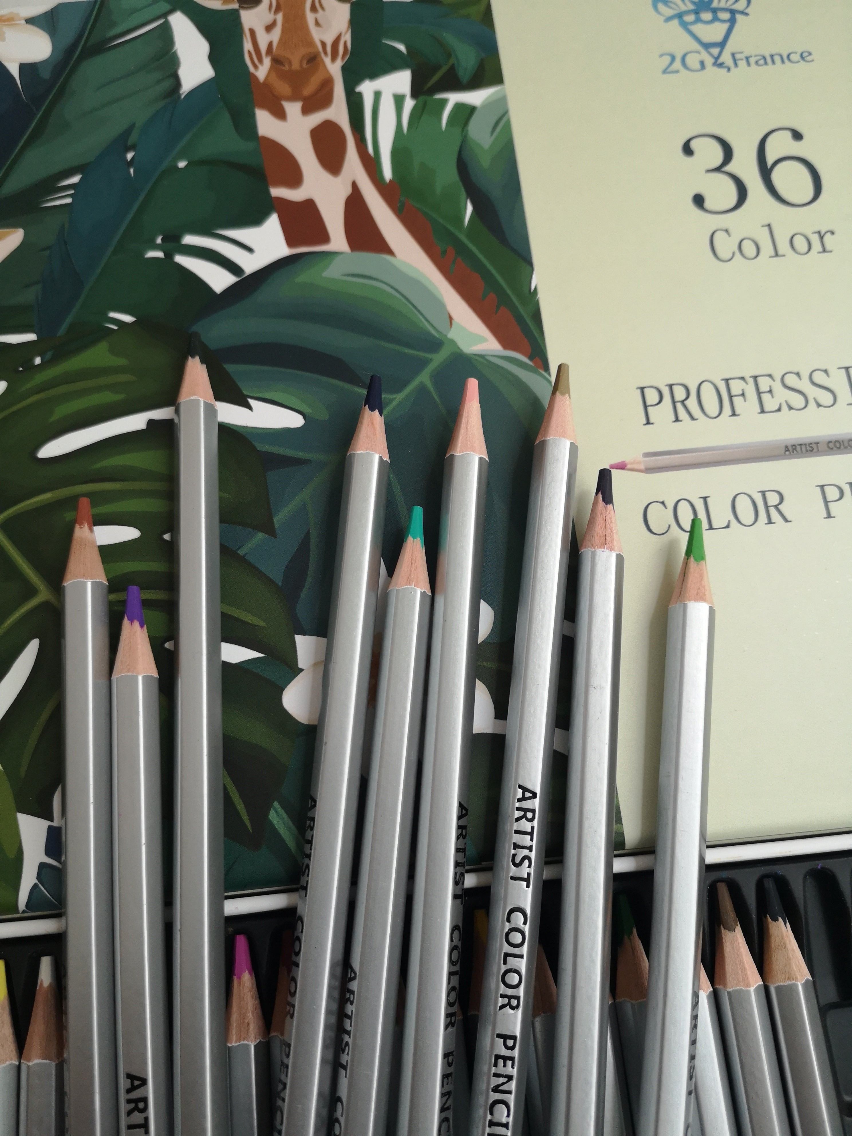 Crayon de Croquis, Crayon de Dessin Professionnel, pour Dessiner la  Coloration d'Art 